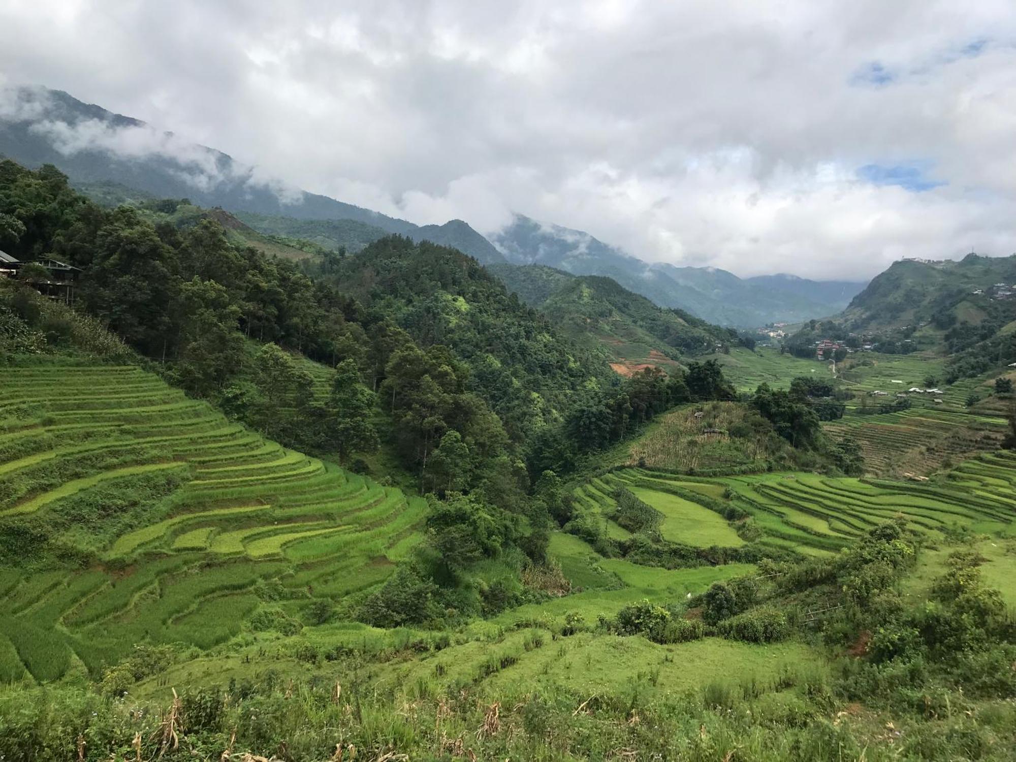 Sapa Hillcrest Homestay 라오까이 외부 사진