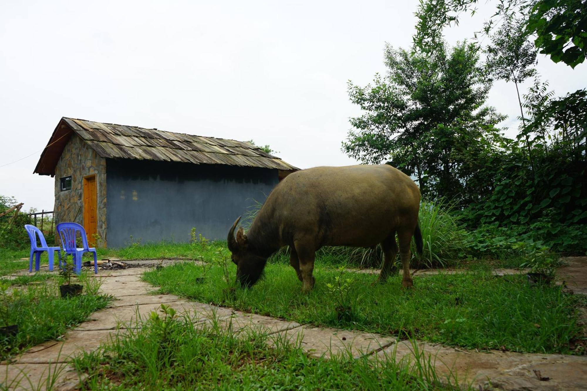 Sapa Hillcrest Homestay 라오까이 외부 사진