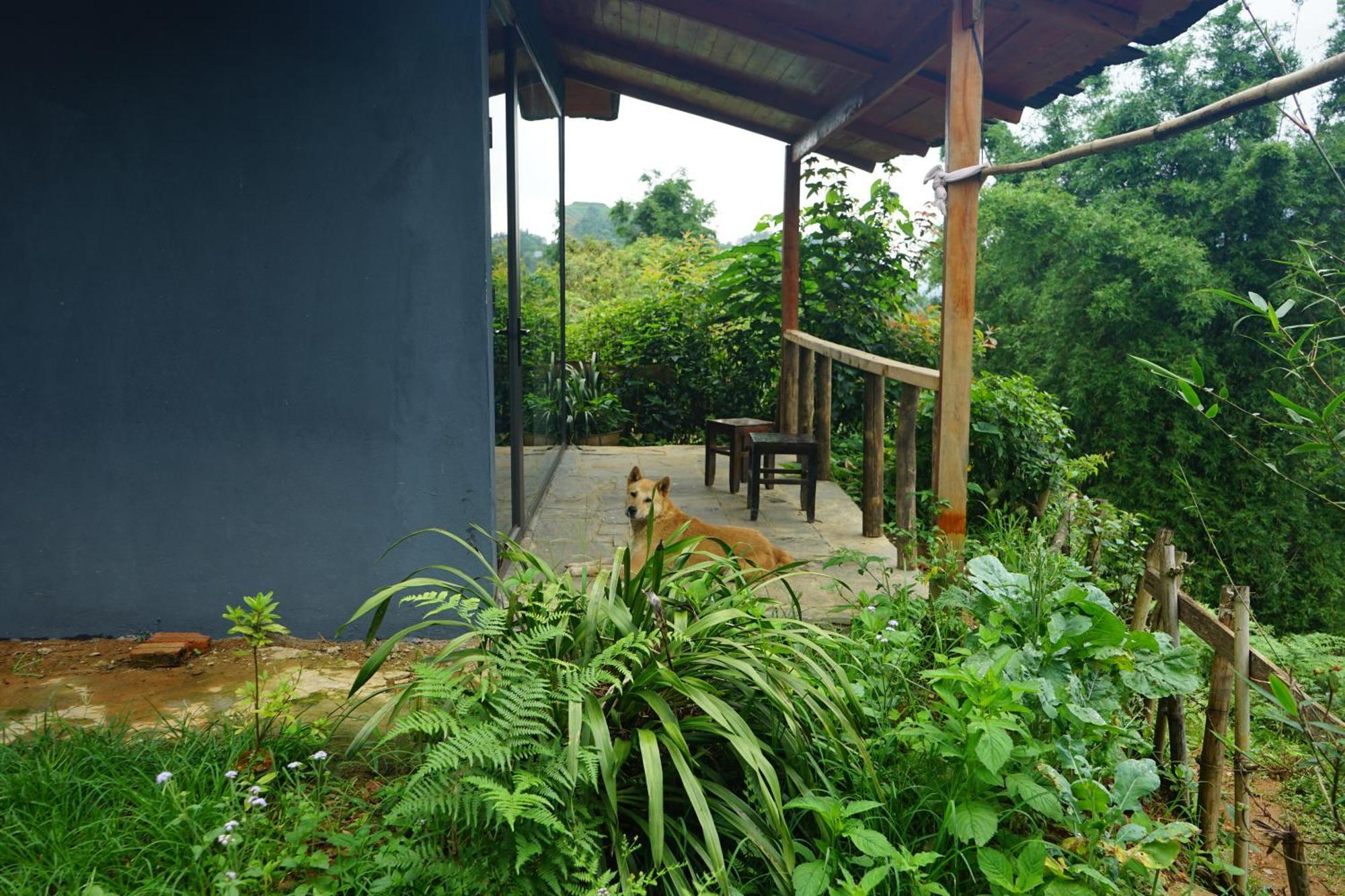 Sapa Hillcrest Homestay 라오까이 외부 사진